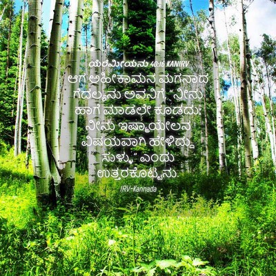 Picture 04 - ಯೆರೆಮೀಯನು 40:16 KANIRV - ಆಗ ಅಹೀಕಾಮನ ಮಗನಾದ - Bible Verse Picture