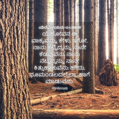 Picture 04 - ಯೆರೆಮೀಯನು 45:4 KANIRV - ಯೆಹೋವನ ಈ - Bible Verse Picture
