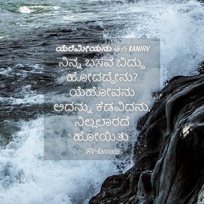 Picture 04 - ಯೆರೆಮೀಯನು 46:15 KANIRV - ನಿನ್ನ ಬಸವ ಬಿದ್ದು - Bible Verse Picture