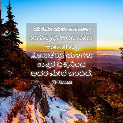 Picture 04 - ಯೆರೆಮೀಯನು 46:20 KANIRV - ಐಗುಪ್ತವು ಅಂದವಾದ - Bible Verse Picture