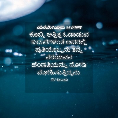 Picture 04 - ಯೆರೆಮೀಯನು 5:8 KANIRV - ಕೊಬ್ಬಿ ಅತ್ತಿತ್ತ - Bible Verse Picture