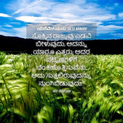 Picture 04 - ಯೆರೆಮೀಯನು 50:32 KANIRV - ಸೊಕ್ಕಿನ ರಾಜ್ಯವು - Bible Verse Picture
