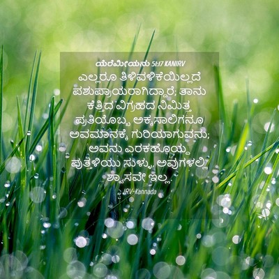 Picture 04 - ಯೆರೆಮೀಯನು 51:17 KANIRV - ಎಲ್ಲರೂ - Bible Verse Picture