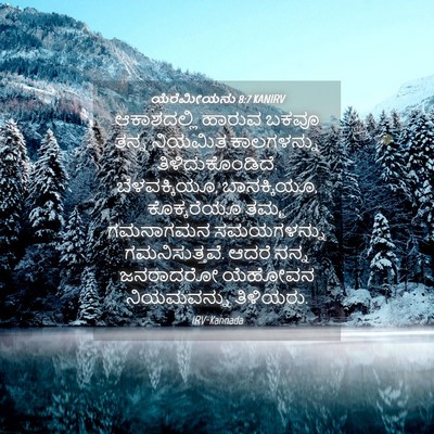 Picture 04 - ಯೆರೆಮೀಯನು 8:7 KANIRV - ಆಕಾಶದಲ್ಲಿ ಹಾರುವ - Bible Verse Picture