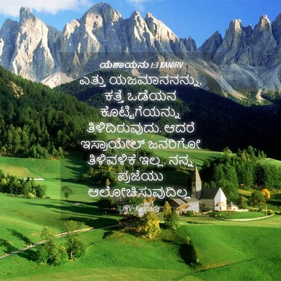 Picture 04 - ಯೆಶಾಯನು 1:3 KANIRV - ಎತ್ತು ಯಜಮಾನನನ್ನು, - Bible Verse Picture