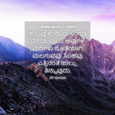 Picture 04 - ಯೆಶಾಯನು 11:7 KANIRV - ಹಸುವು ಕರಡಿಯ ಸಂಗಡ - Bible Verse Picture