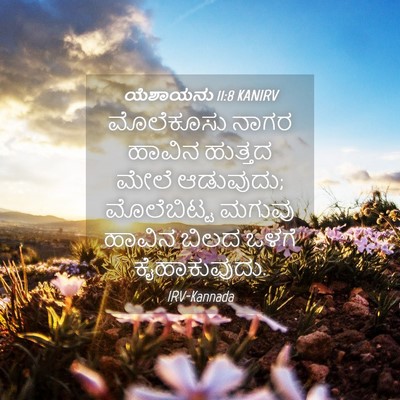 Picture 04 - ಯೆಶಾಯನು 11:8 KANIRV - ಮೊಲೆಕೂಸು ನಾಗರ - Bible Verse Picture