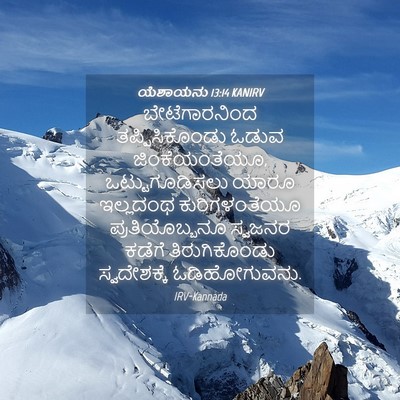 Picture 04 - ಯೆಶಾಯನು 13:14 KANIRV - ಬೇಟೆಗಾರನಿಂದ - Bible Verse Picture