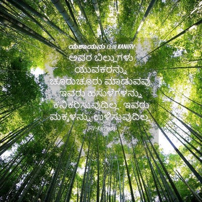 Picture 04 - ಯೆಶಾಯನು 13:18 KANIRV - ಅವರ ಬಿಲ್ಲುಗಳು - Bible Verse Picture