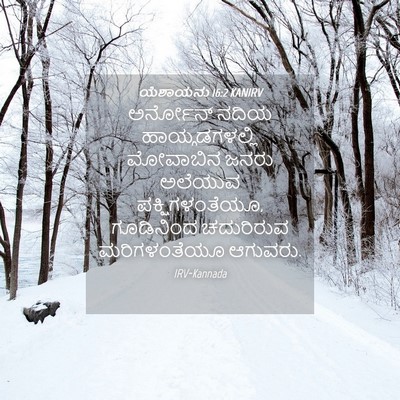 Picture 04 - ಯೆಶಾಯನು 16:2 KANIRV - ಅರ್ನೋನ್ ನದಿಯ - Bible Verse Picture
