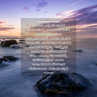 Picture 04 - ಯೆಶಾಯನು 17:6 KANIRV - ಆದರೂ ಎಣ್ಣೆಯ ಮರದ - Bible Verse Picture