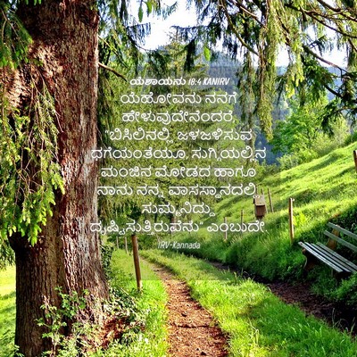 Picture 04 - ಯೆಶಾಯನು 18:4 KANIRV - ಯೆಹೋವನು ನನಗೆ - Bible Verse Picture