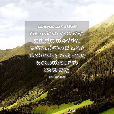 Picture 04 - ಯೆಶಾಯನು 19:6 KANIRV - ಕಾಲುವೆಗಳು - Bible Verse Picture