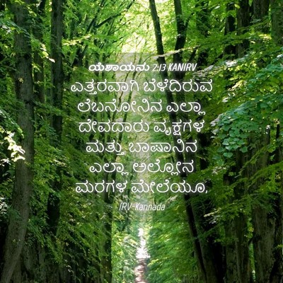 Picture 04 - ಯೆಶಾಯನು 2:13 KANIRV - ಎತ್ತರವಾಗಿ - Bible Verse Picture