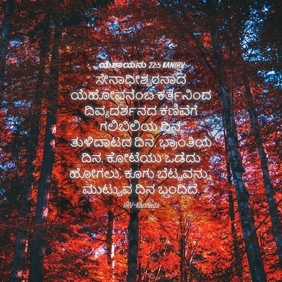 Picture 04 - ಯೆಶಾಯನು 22:5 KANIRV - ಸೇನಾಧೀಶ್ವರನಾದ - Bible Verse Picture