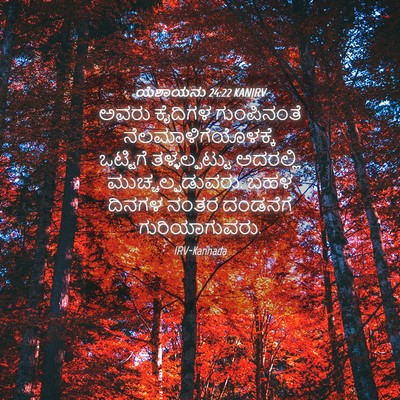 Picture 04 - ಯೆಶಾಯನು 24:22 KANIRV - ಅವರು ಕೈದಿಗಳ - Bible Verse Picture