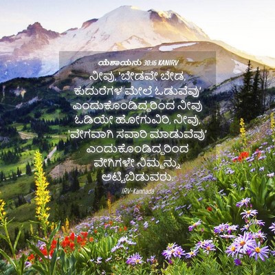 Picture 04 - ಯೆಶಾಯನು 30:16 KANIRV - ನೀವು, ‘ಬೇಡವೇ ಬೇಡ, - Bible Verse Picture