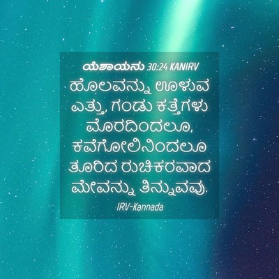 Picture 04 - ಯೆಶಾಯನು 30:24 KANIRV - ಹೊಲವನ್ನು ಊಳುವ - Bible Verse Picture