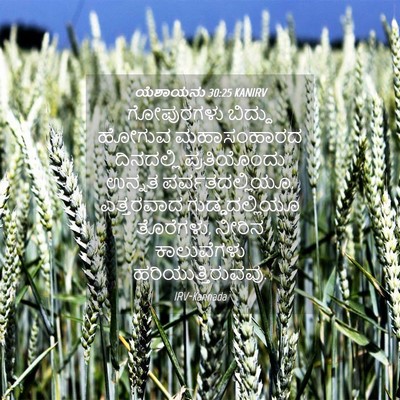 Picture 04 - ಯೆಶಾಯನು 30:25 KANIRV - ಗೋಪುರಗಳು ಬಿದ್ದು - Bible Verse Picture