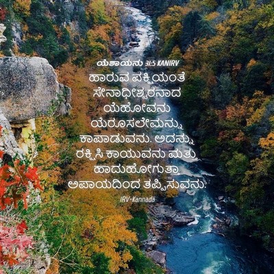 Picture 04 - ಯೆಶಾಯನು 31:5 KANIRV - ಹಾರುವ ಪಕ್ಷಿಯಂತೆ - Bible Verse Picture