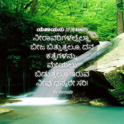 Picture 04 - ಯೆಶಾಯನು 32:20 KANIRV -  - Bible Verse Picture