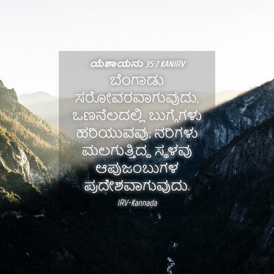 Picture 04 - ಯೆಶಾಯನು 35:7 KANIRV - ಬೆಂಗಾಡು - Bible Verse Picture