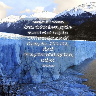 Picture 04 - ಯೆಶಾಯನು 37:28 KANIRV - ನೀನು - Bible Verse Picture