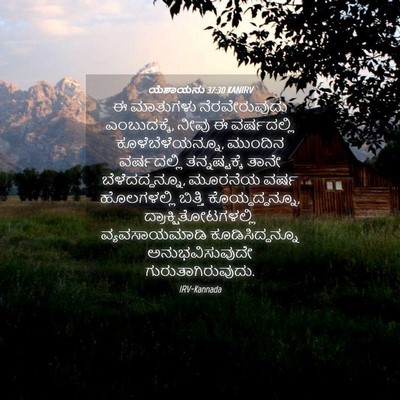 Picture 04 - ಯೆಶಾಯನು 37:30 KANIRV - ಈ ಮಾತುಗಳು - Bible Verse Picture