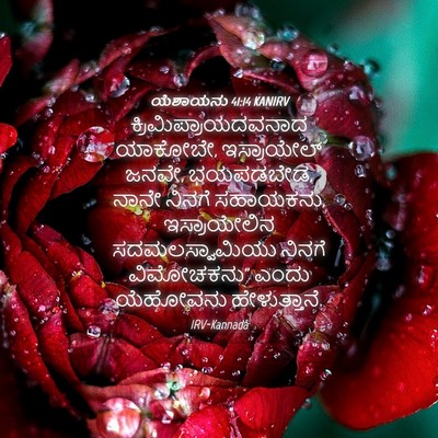 Picture 04 - ಯೆಶಾಯನು 41:14 KANIRV - ಕ್ರಿಮಿಪ್ರಾಯದವನಾದ - Bible Verse Picture