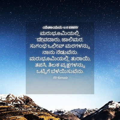 Picture 04 - ಯೆಶಾಯನು 41:19 KANIRV - ಮರುಭೂಮಿಯಲ್ಲಿ - Bible Verse Picture
