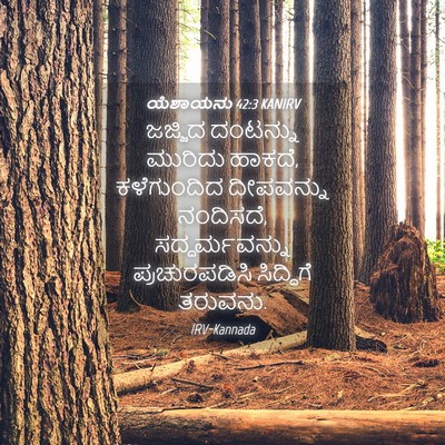 Picture 04 - ಯೆಶಾಯನು 42:3 KANIRV - ಜಜ್ಜಿದ ದಂಟನ್ನು - Bible Verse Picture