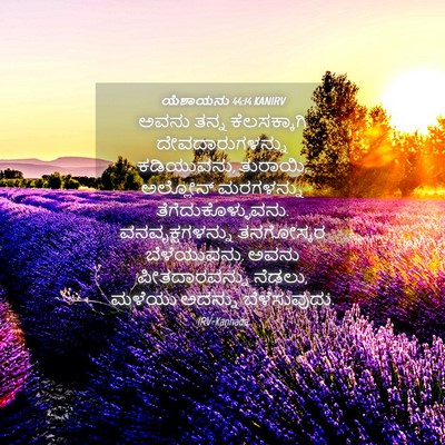 Picture 04 - ಯೆಶಾಯನು 44:14 KANIRV - ಅವನು ತನ್ನ - Bible Verse Picture