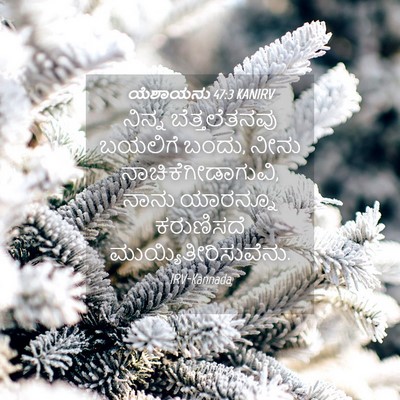 Picture 04 - ಯೆಶಾಯನು 47:3 KANIRV - ನಿನ್ನ ಬೆತ್ತಲೆತನವು - Bible Verse Picture