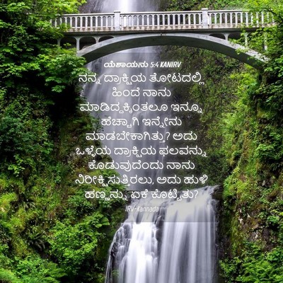 Picture 04 - ಯೆಶಾಯನು 5:4 KANIRV - ನನ್ನ ದ್ರಾಕ್ಷಿಯ - Bible Verse Picture