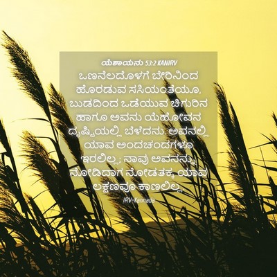 Picture 04 - ಯೆಶಾಯನು 53:2 KANIRV - ಒಣನೆಲದೊಳಗೆ - Bible Verse Picture