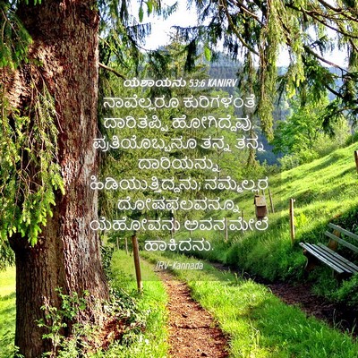 Picture 04 - ಯೆಶಾಯನು 53:6 KANIRV - ನಾವೆಲ್ಲರೂ - Bible Verse Picture