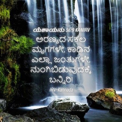 Picture 04 - ಯೆಶಾಯನು 56:9 KANIRV - ಅರಣ್ಯದ ಸಕಲ ಮೃಗಗಳೇ, - Bible Verse Picture