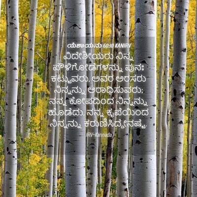 Picture 04 - ಯೆಶಾಯನು 60:10 KANIRV - ವಿದೇಶೀಯರು ನಿನ್ನ - Bible Verse Picture