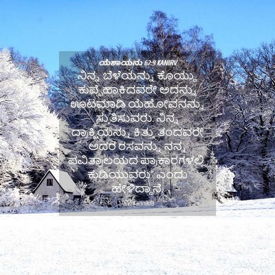 Picture 04 - ಯೆಶಾಯನು 62:9 KANIRV - ನಿನ್ನ ಬೆಳೆಯನ್ನು - Bible Verse Picture