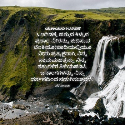 Picture 04 - ಯೆಶಾಯನು 64:2 KANIRV - ಒಣಗಿಡಕ್ಕೆ ಹತ್ತುವ - Bible Verse Picture