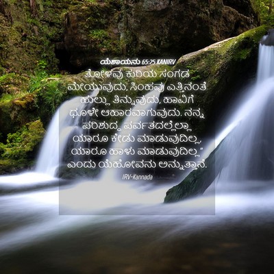 Picture 04 - ಯೆಶಾಯನು 65:25 KANIRV - ತೋಳವು ಕುರಿಯ ಸಂಗಡ - Bible Verse Picture