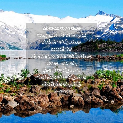 Picture 04 - ಯೆಶಾಯನು 7:19 KANIRV - ಅವು ಬಂದು ಕಡಿದಾದ - Bible Verse Picture