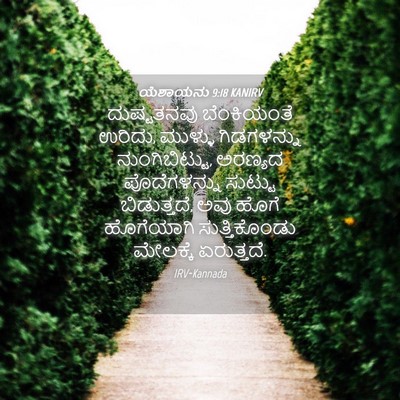 Picture 04 - ಯೆಶಾಯನು 9:18 KANIRV - ದುಷ್ಟತನವು - Bible Verse Picture