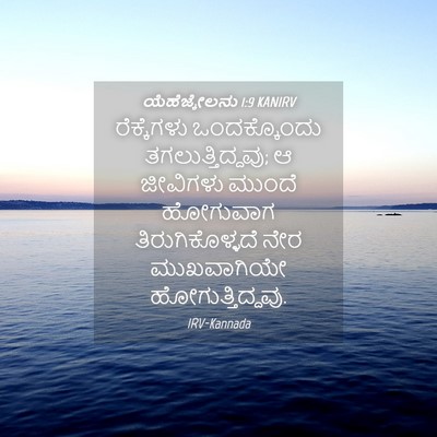 Picture 04 - ಯೆಹೆಜ್ಕೇಲನು 1:9 KANIRV - ರೆಕ್ಕೆಗಳು - Bible Verse Picture
