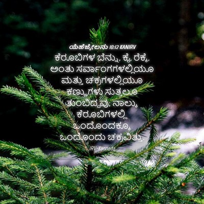 Picture 04 - ಯೆಹೆಜ್ಕೇಲನು 10:12 KANIRV - ಕೆರೂಬಿಗಳ ಬೆನ್ನು, - Bible Verse Picture