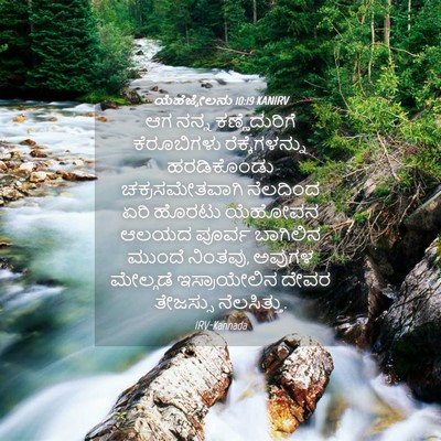 Picture 04 - ಯೆಹೆಜ್ಕೇಲನು 10:19 KANIRV - ಆಗ ನನ್ನ - Bible Verse Picture