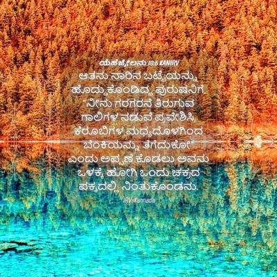Picture 04 - ಯೆಹೆಜ್ಕೇಲನು 10:6 KANIRV - ಆತನು ನಾರಿನ - Bible Verse Picture