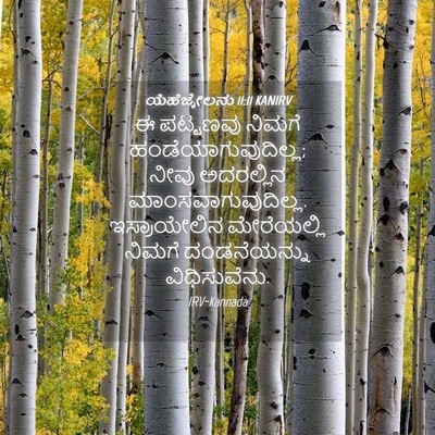 Picture 04 - ಯೆಹೆಜ್ಕೇಲನು 11:11 KANIRV - ಈ ಪಟ್ಟಣವು ನಿಮಗೆ - Bible Verse Picture