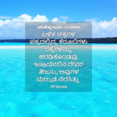 Picture 04 - ಯೆಹೆಜ್ಕೇಲನು 11:22 KANIRV - ಬಳಿಕ ಚಕ್ರಗಳ - Bible Verse Picture