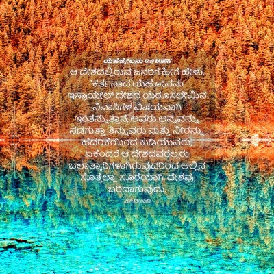 Picture 04 - ಯೆಹೆಜ್ಕೇಲನು 12:19 KANIRV - ಆ ದೇಶದಲ್ಲಿರುವ - Bible Verse Picture